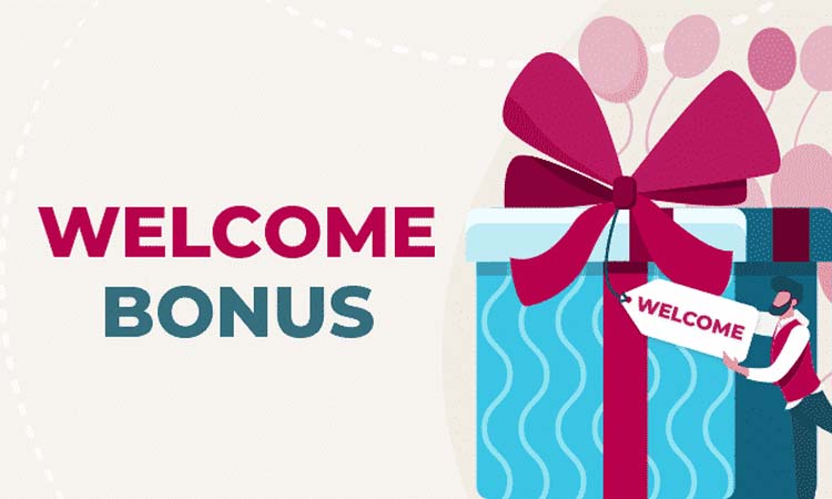 Welcome users. Бонус Welcome. Велком бонус. Бонусы. Welcome казино.